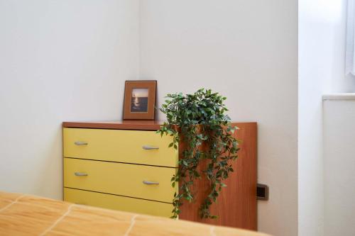 Bella Villa Apartments - image 10