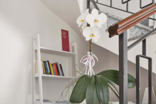Bella Villa Apartments - image 12