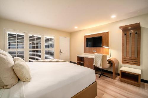 Deluxe King Suite image 8