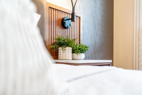 LYFE INN & SUITES by AGA - Beverly Hills West Hollywood, Los Angeles (fotografie 10)