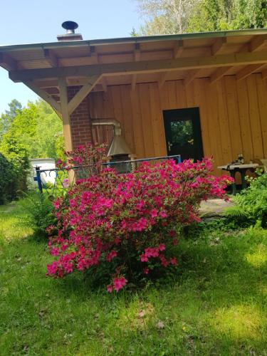 Waldbadhäusel Naturbad-Bungalow in Neuwiese, Deutschland