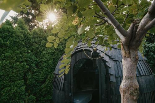 IGLOO SPA - privátní wellness u Plumlovské přehrady, Mostkovice (foto 9)