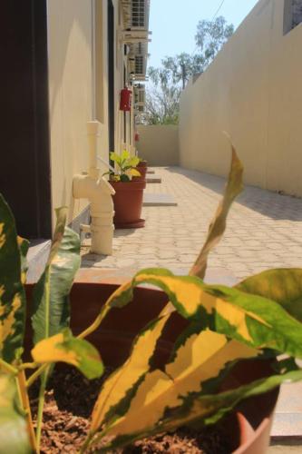 Madiva`s Guest House in Rundu