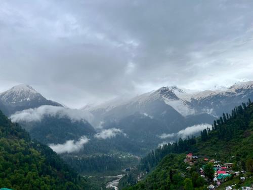 Yellowjackets Hostel Yellowjackets Hostel