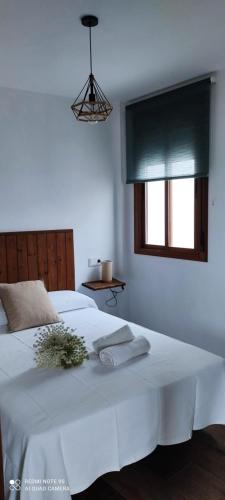 Apartamentos Bolonia - M a n u e l a - El Lentiscal