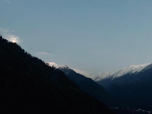 Yellowjackets Hostel Yellowjackets Hostel