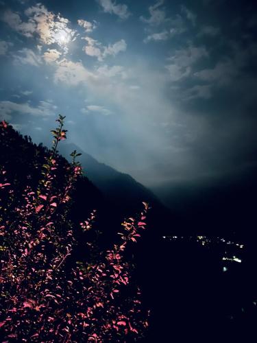 Yellowjackets Hostel Yellowjackets Hostel