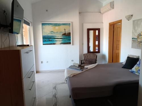 One-Bedroom Apartment image 10