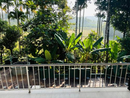 Omgeving, 185m² 3 slaapkamer, 3 privé badkamer Vrijstaande woning in Panamaram (WayalVaaram Home Stay ) in Panamaram