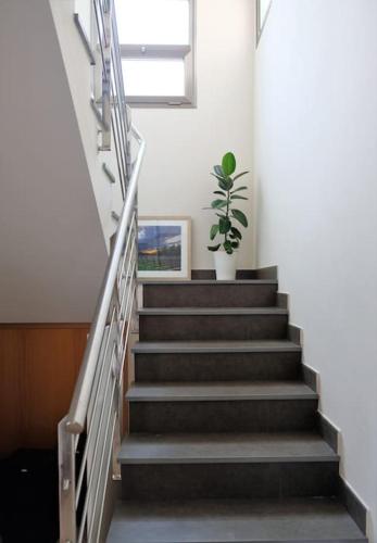 Garden Villa near Girona and Costa Brava for Cyclists and Families in Bordils