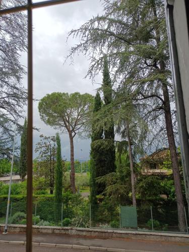 Casa Rosa, Verona (foto 10)