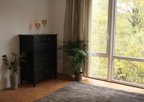 home2be apartments - image 11