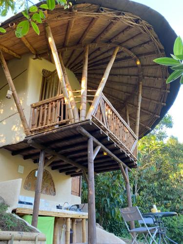 Macuá, Refugio del bosque