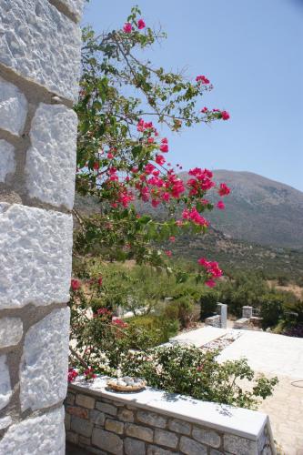 Thelea Mani Thelea Mani