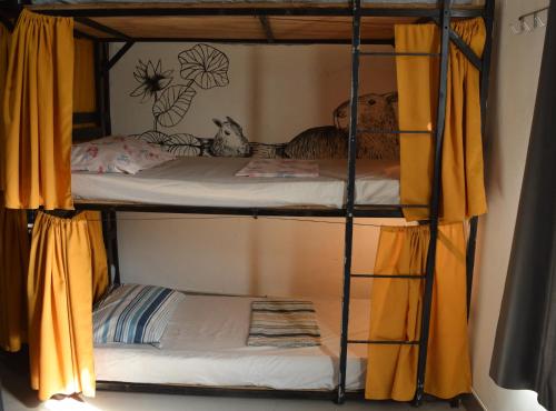 1 bunk bed