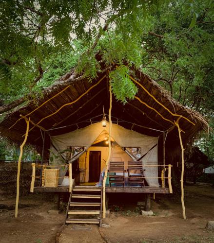 Camp Leopard - Yala Safari Glamping in Yala