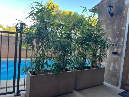 Logement indépendant Au Bonheur cuisine piscine clim proche centre village #dentelles Montmirrail (Chambre independante avec cuisine piscine clim au bonheur proche centre village #dentelles Montmirra) in Beaumes De Venise
