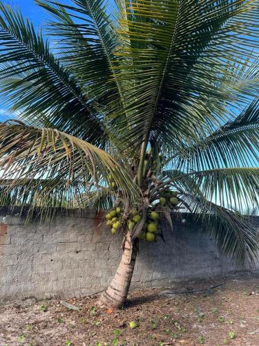 Casa temporada frente ao mar , ilheus-ba Casa temporada frente ao mar , ilheus-ba