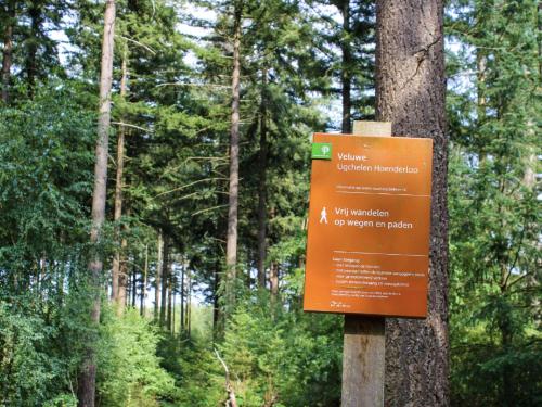 Nice holiday home with fireplace located in nature - image 3