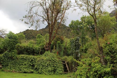 tuin, El Leñador hotel y restaurante (El Lenador hotel y restaurante) in Papallacta