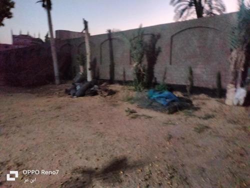 سقاره, Kairo (Foto 5)