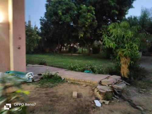 سقاره, Kairo (Foto 7)