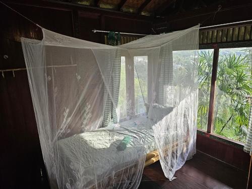 Rimba eco Resort - Tap to explore photos