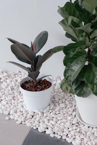 Taiping Homestay 5R3B, 9mins - Zoo & Lake Garden Taiping Taiping Homestay 5R3B, 9mins - Zoo & Lake Garden Taiping