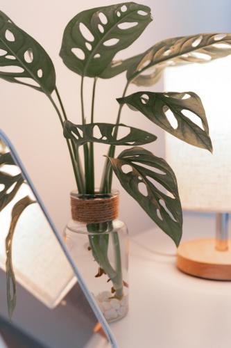 Taiping Homestay 5R3B, 9mins - Zoo & Lake Garden Taiping Taiping Homestay 5R3B, 9mins - Zoo & Lake Garden Taiping