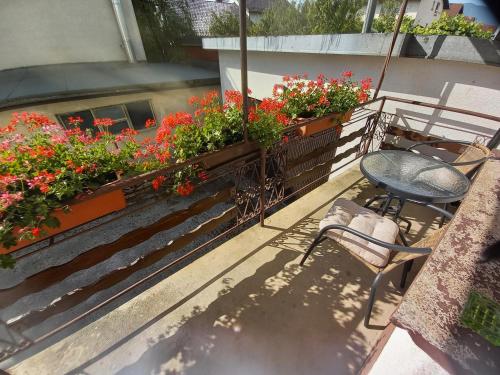 Dış Görünüm, Rooms Apartma Cerknica in Cerknica