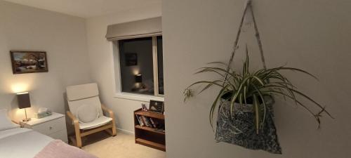 Birdsong hideaway two-bedroom suite in Browns Bay, Auckland (fotografie 6)