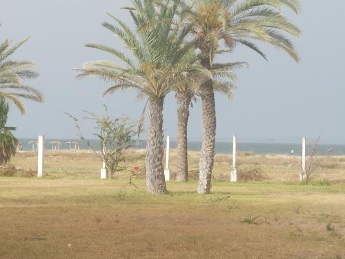 App S1 à l'hôtel Andalucia Beach (App S1 a l'hotel Andalucia Beach) in Bizerte