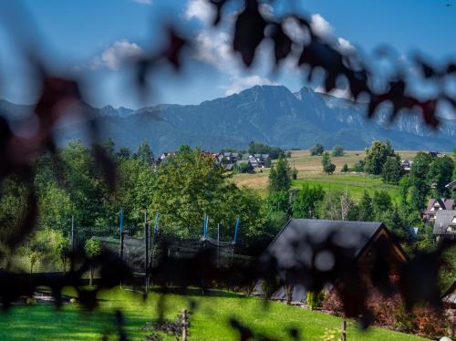 Zacisze Galicove, Zakopane (photo 11)