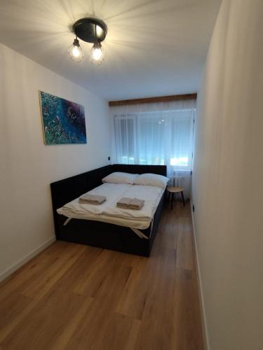 Mieszkanie 11 Listopada