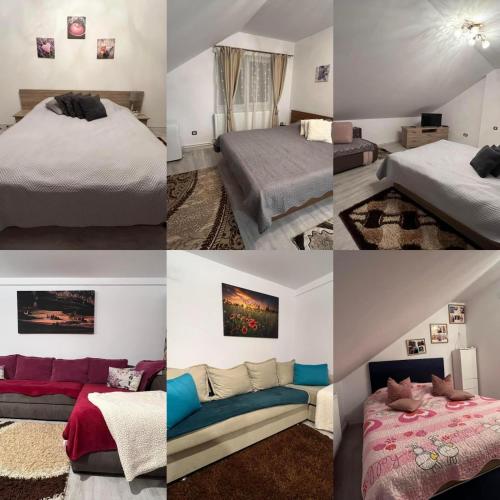 Cabana Sofia in Moldovenesti