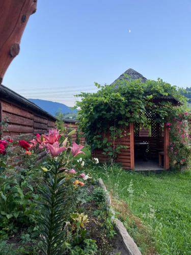 Sharm karpaty in Verhovyna