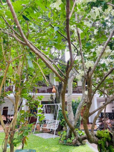 A szálláshely kívülről, Little Paradise Tourist Guest House and Holiday Home in Anuradhapura