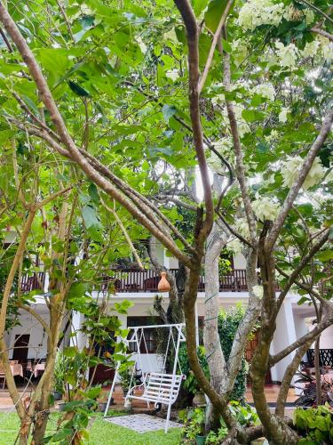 Little Paradise Tourist Guest House and Holiday Home in Anuradhapura