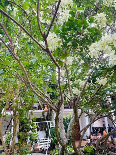 Little Paradise Tourist Guest House and Holiday Home in Anuradhapura