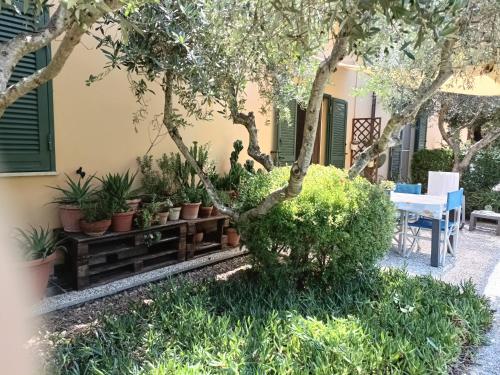 A CASA di LELE CAPALBIO