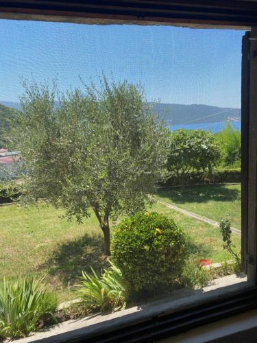 Zelenica Apartment in Zelenika