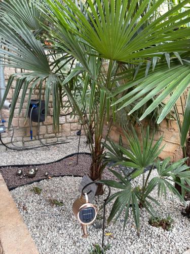 Amor, flat with private hot tub, breathtaking views and free parking in a garage, bookable all year round, Also take a look at our flat Coccolina, Rabac (Porto Albona) (foto 9)