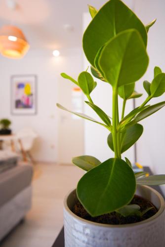 Stilvolles Apartment im lässigsten Viertel, München (Foto 10)