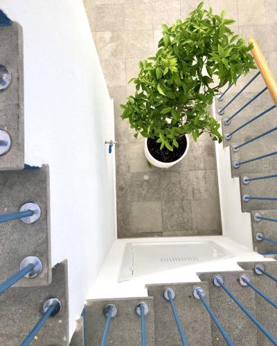 PATIO de LUZ - Stylish apartments in Párraga 13