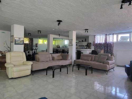 Liogerma in Milos Island