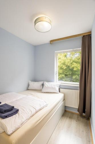 One-Bedroom Apartment image 8