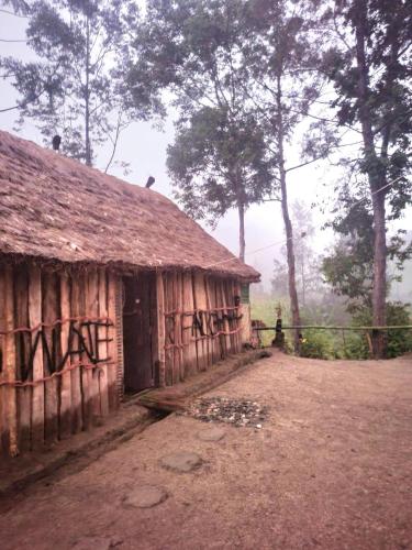 . Hagen Lodges - Kondiu Waterfall Tribe