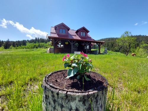 Brvnara Rajkova koliba - STD Bojovići Zlatar