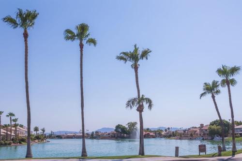 Modern Retreat in Ahwatukee Heated Pool Spa Gym in Ahwatukee