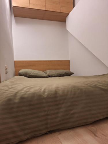 Pine Kolasin Pine Kolasin